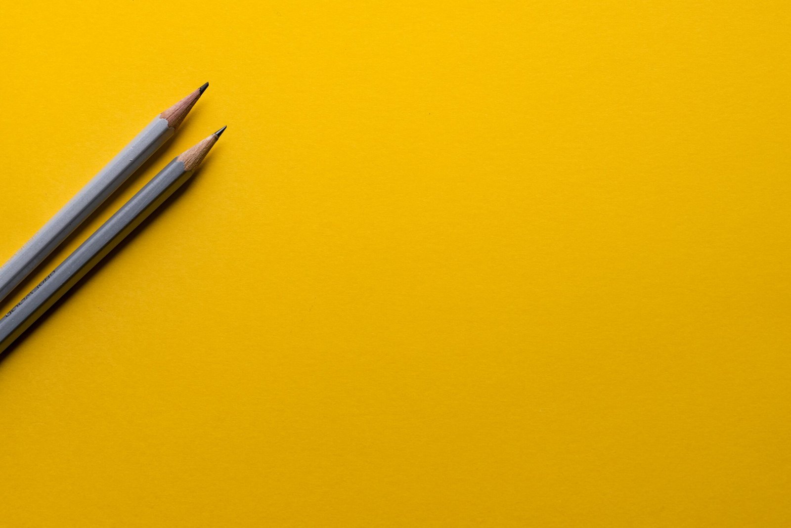 Building a Portfolio for Creative Careers: Tips for Beginners